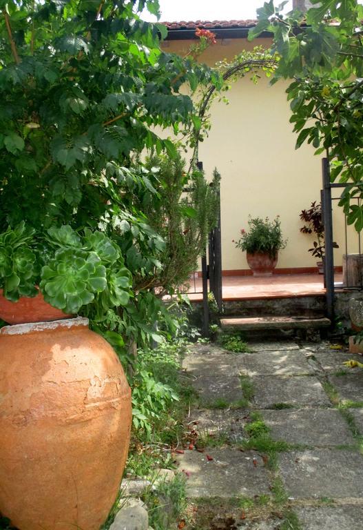 Affittacamere Damammasara Rignano sullʼArno Exterior foto